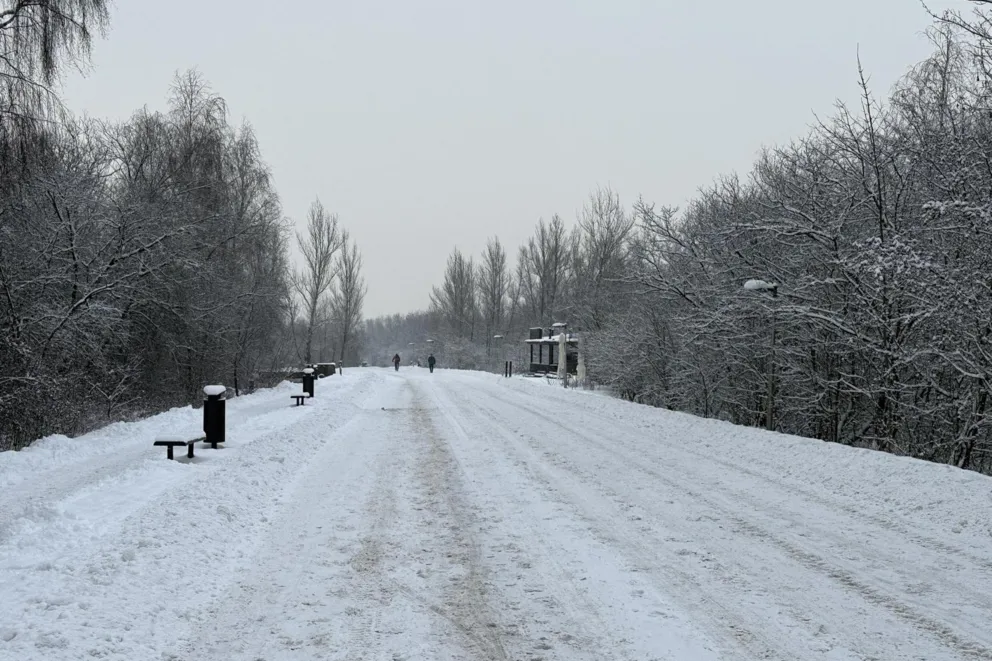 Kto jest odpowiedzialny za odśnieżenie drogi? 