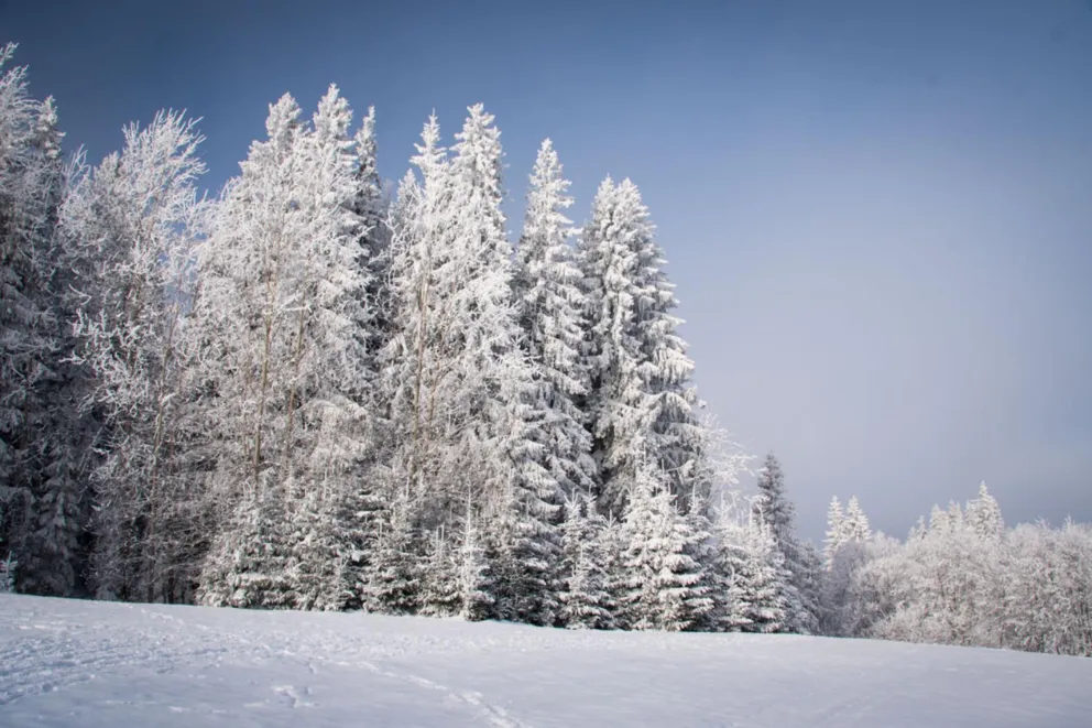 Chłodny poniedziałek w Małopolsce. W nocy jeszcze większy mróz, nawet do -8°C