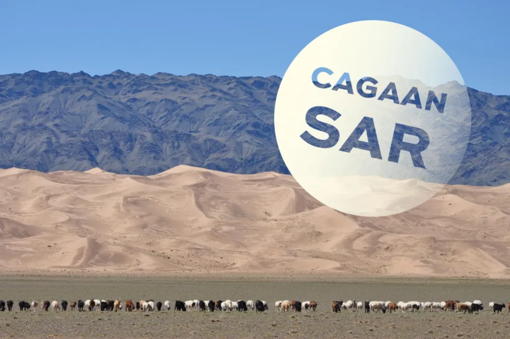 Cagaan Sar. Dzień Kultury Mongolskiej | Rok Jubileuszowy Muzeum Etnograficznego w Krakowie