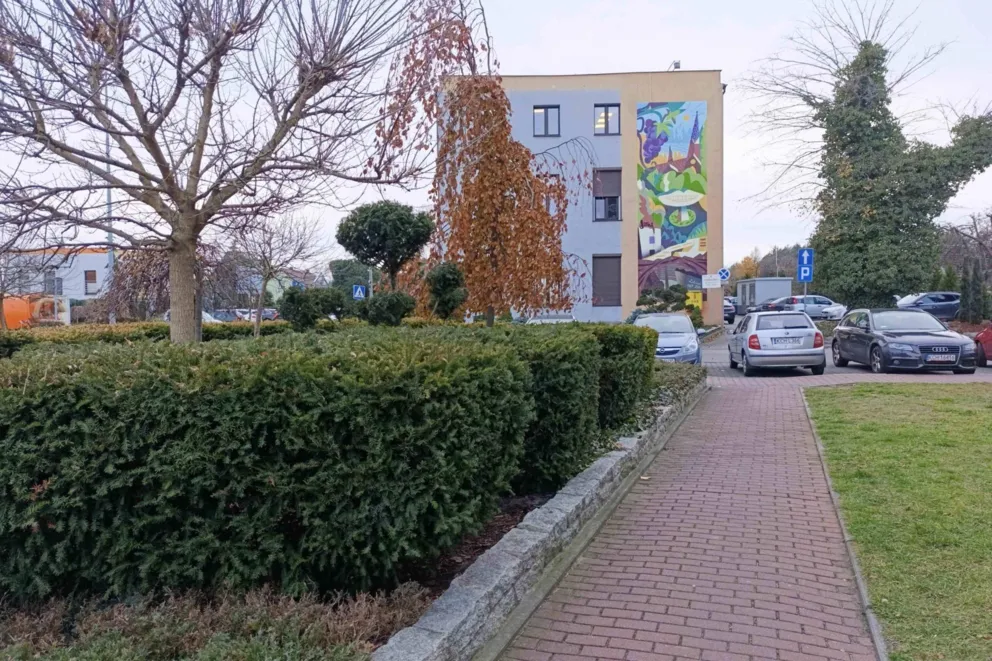 Miasta zachodniej Małopolski wprowadzają karty mieszkańca. Libiąż też chce mieć swoją