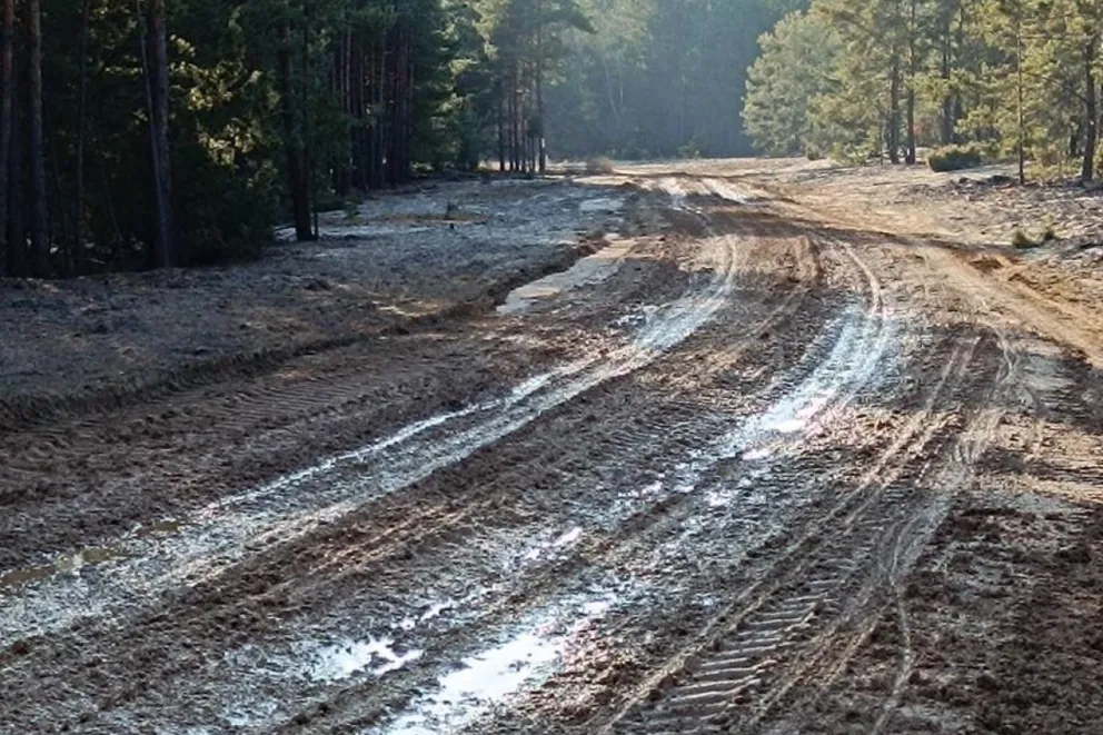Sześć kilometrów trasy rowerowej przy Pustyni Błędowskiej z utrudnieniami. A zaczęło się od porządkowania