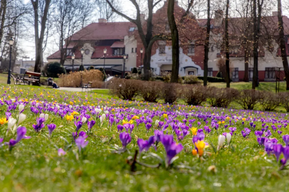 Kopalnia Soli w Wieliczce z nową atrakcją. Trzeba się pospieszyć, żeby to zobaczyć