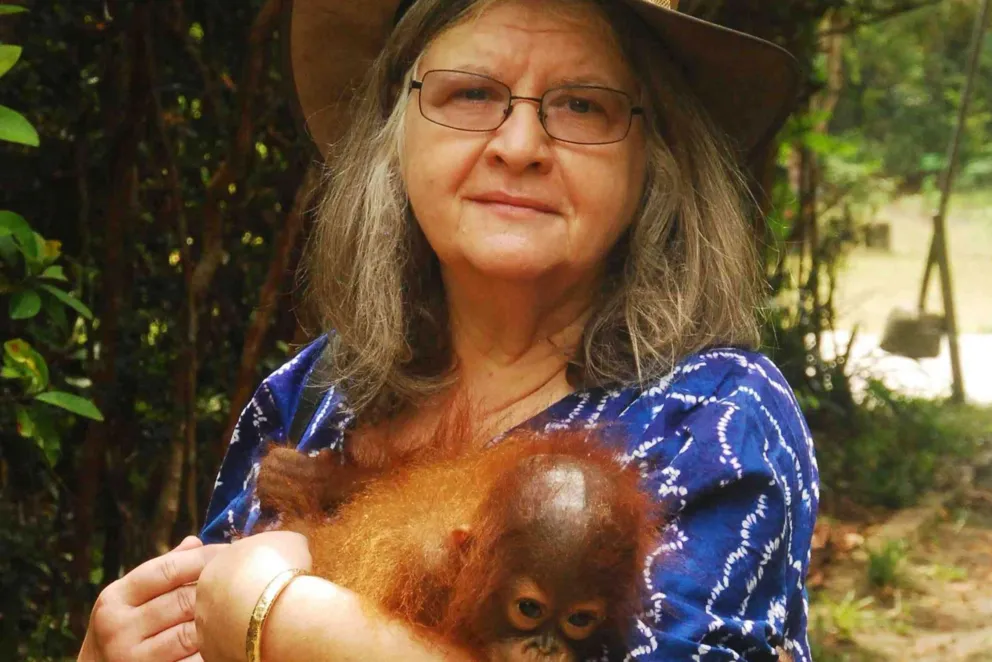 Co naprawdę wiemy o orangutanach? Krakowski naukowiec o pionierskich badaniach