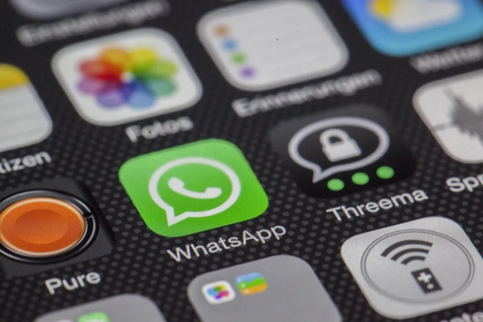 „Zagłosuj na mojego psa”. Uwaga na oszustwo, które przejmuje WhatsAppa