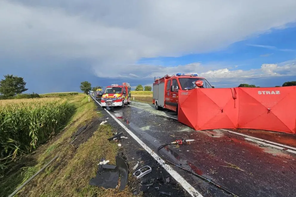 Śmiertelny wypadek na DK79. Nie żyje kierowca samochodu osobowego