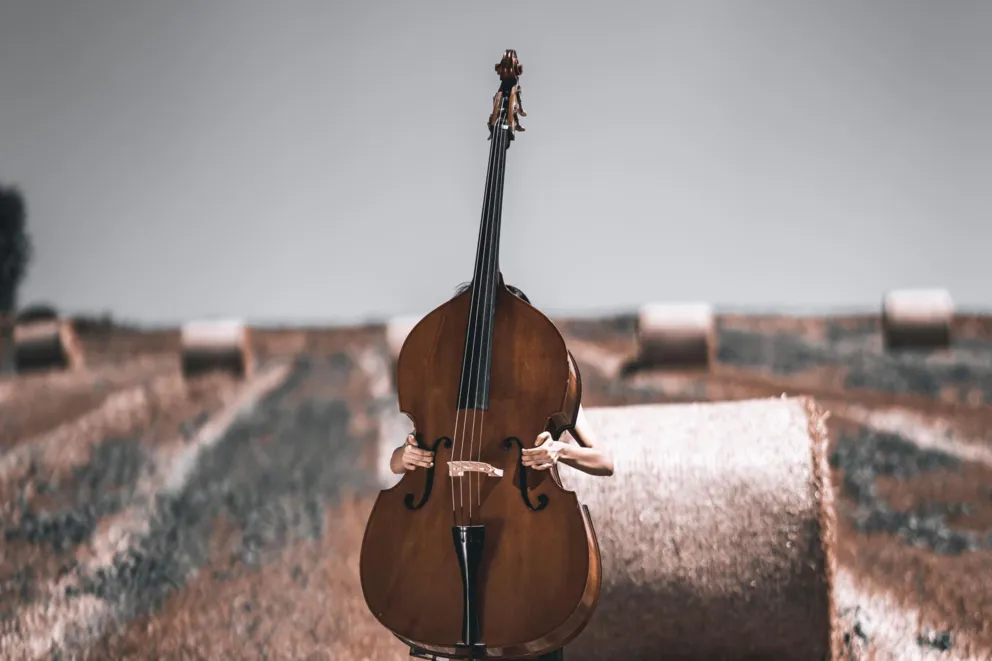 Filharmonia zeszła ze sceny i poszła w góry. AUKSO znów gra w Pieninach