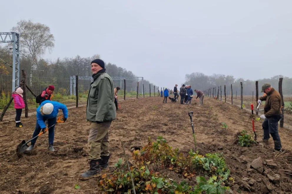 Kraków głosuje na projekty z budżetu obywatelskiego. Do podziału są 54 miliony złotych