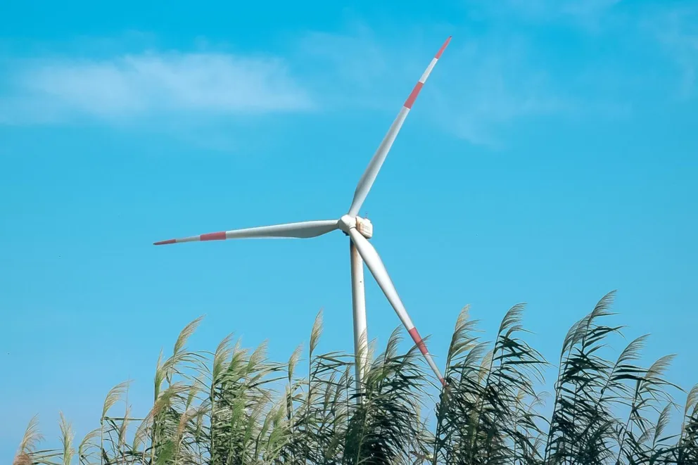 Inwestycje w gospodarstwach rolnych w zakresie OZE oraz poprawy efektywności energetycznej