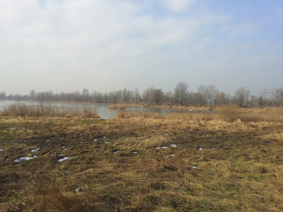 Tereny Przylasku Rusieckiego