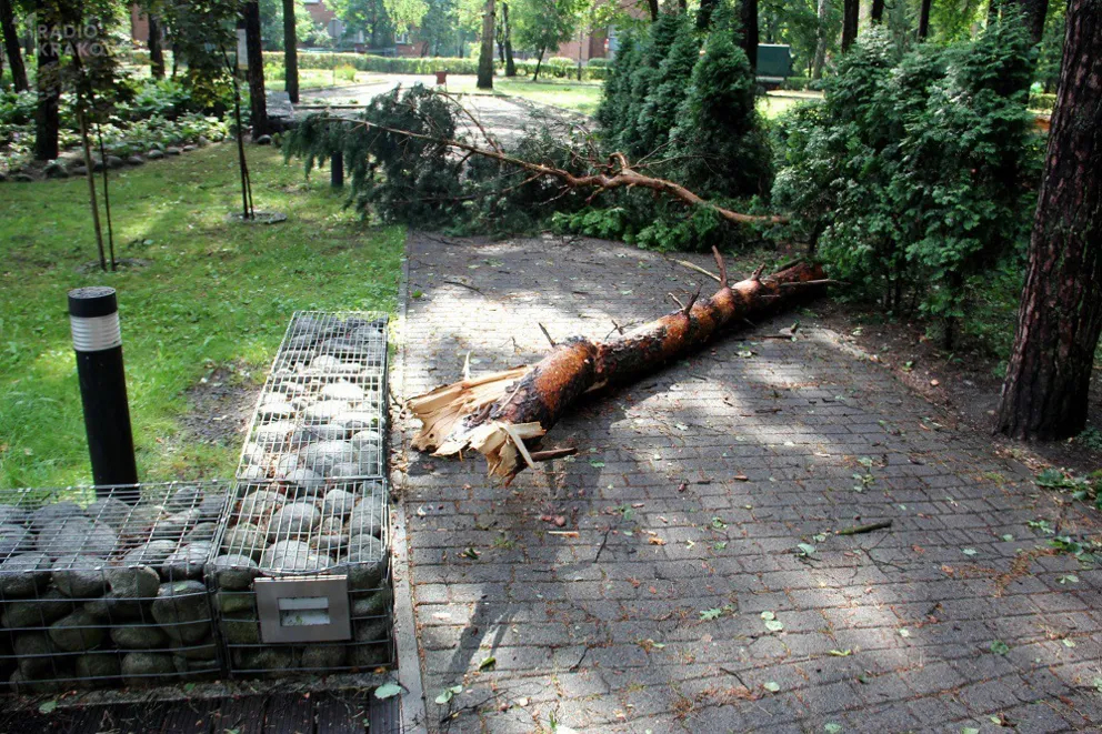 Chełmek po nawałnicy/ fot. Marek Mędela 