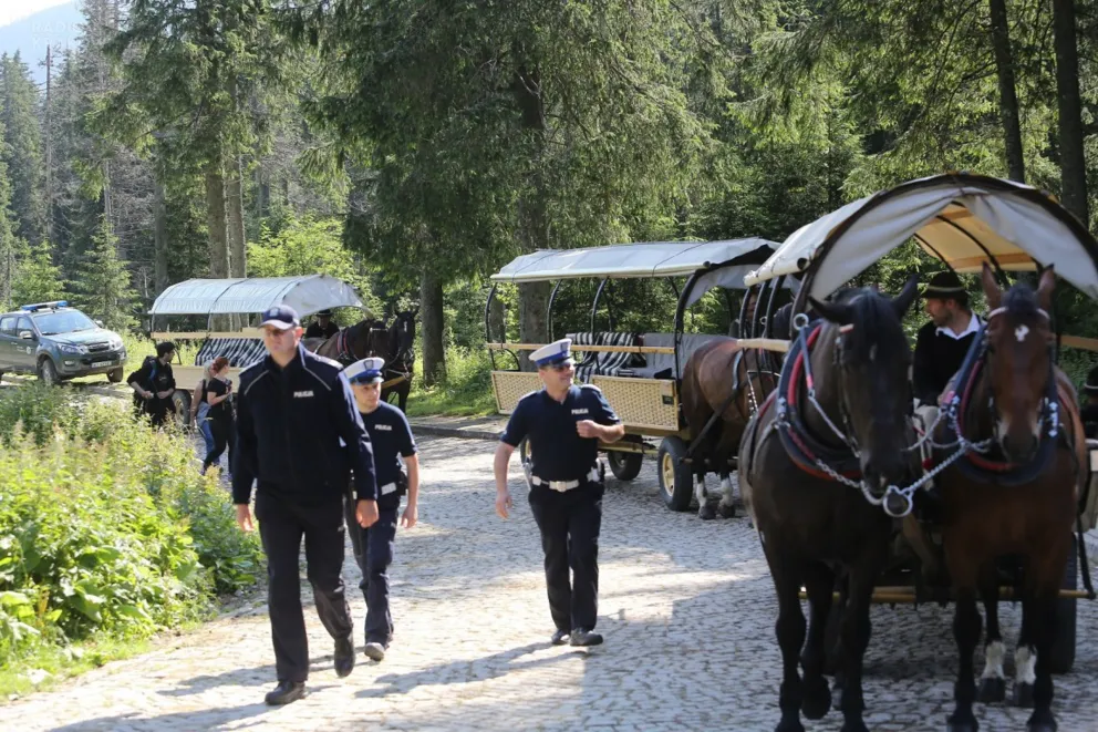 Konie wożące turystów do Morskiego Oka przeszły kolejne badania, fot. P. Bolechowski