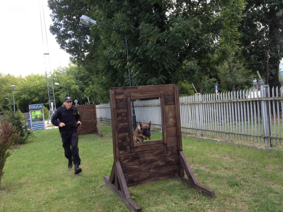 Czworonożni policjanci