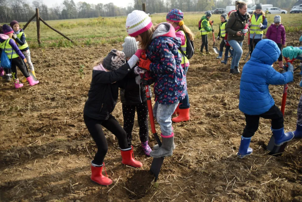 Las Prawiek na cześć noblistki Olgi Tokarczuk powstał w nowohuckich Kujawach