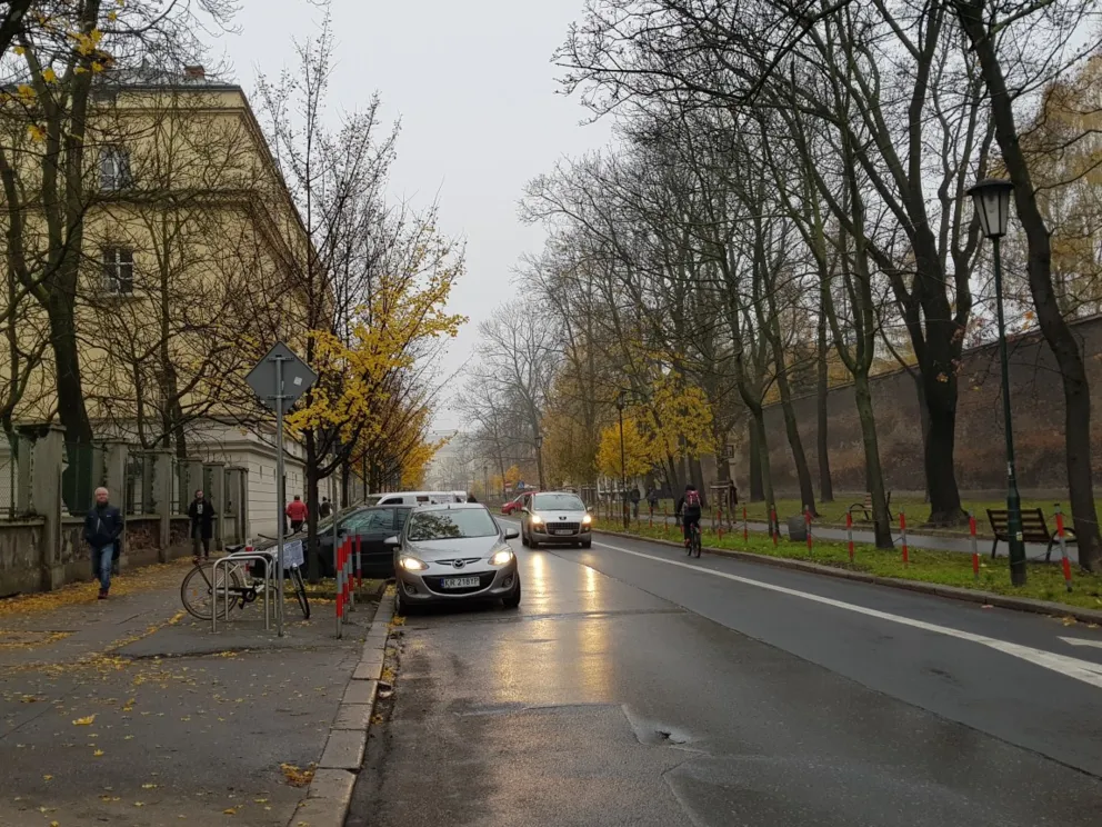 Kolejne organizacje pozarządowe wnioskują o konsultacje ws. zagospodarowania Wesołej