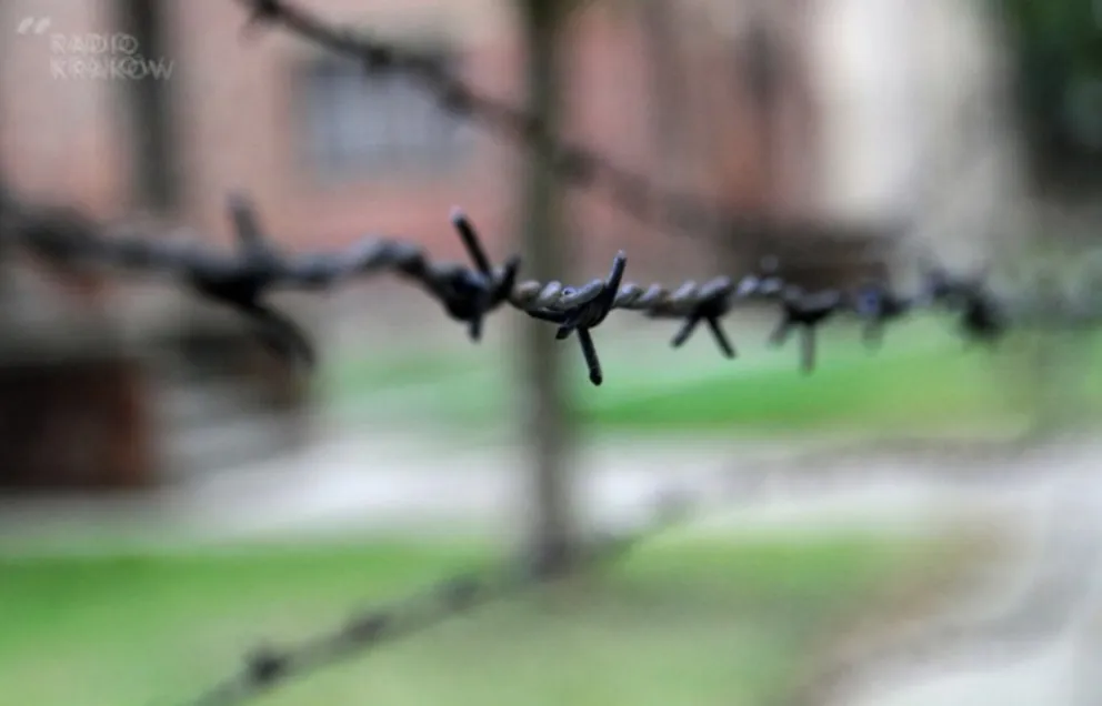 Śledczy z Krakowa zajmą się sprawą uczennic "hajlujących" w Birkenau