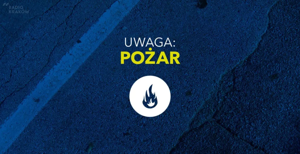 Policja wyjaśnia przyczyny pożaru w Fabryki Papieru i Tektury "Beskidy" w Wadowicach