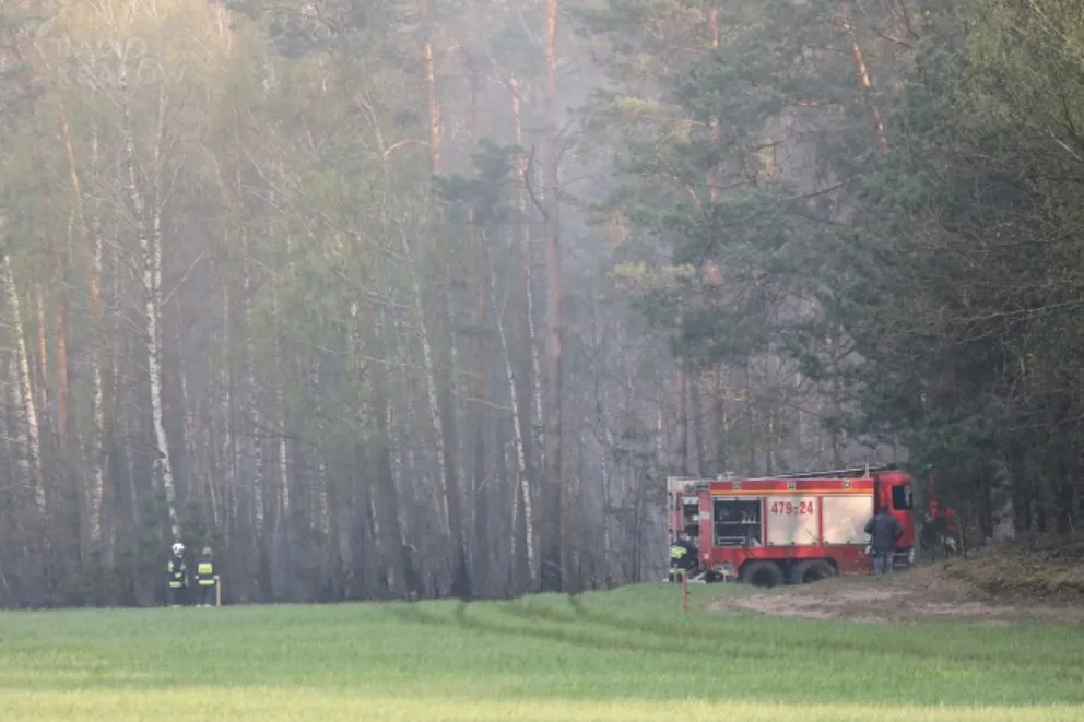 Tragiczny finał "kontrolowanego" wypalenia gałęzi; nie żyje człowiek