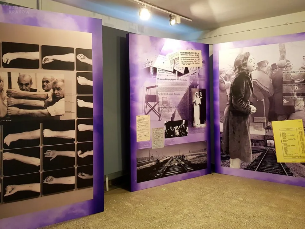Grecy w Auschwitz - to tytuł nowej wystawy czasowej, którą można oglądać w Muzeum Auschwitz