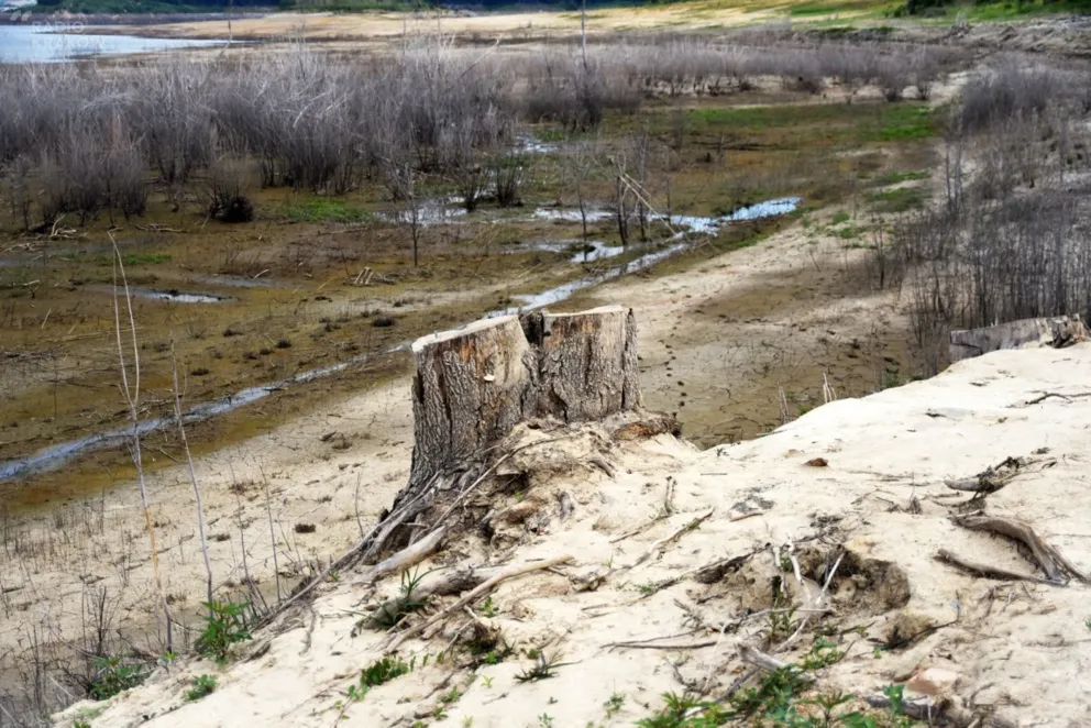 Co dalej ws. plaży nad jeziorem Mucharskim? Rozmowy są na finiszu