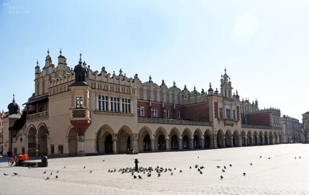 Kraków: w schronisku więcej rannych zwierząt, na Rynku inspektorzy dokarmiają gołębie