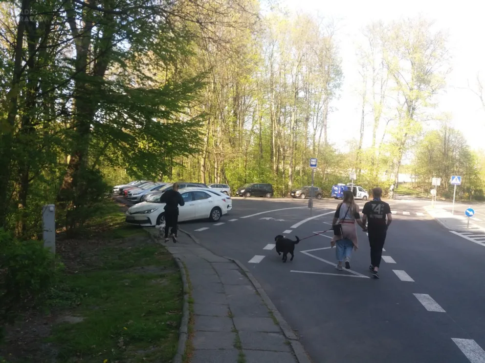 Krakowskie tereny zielone przeżywają oblężenie