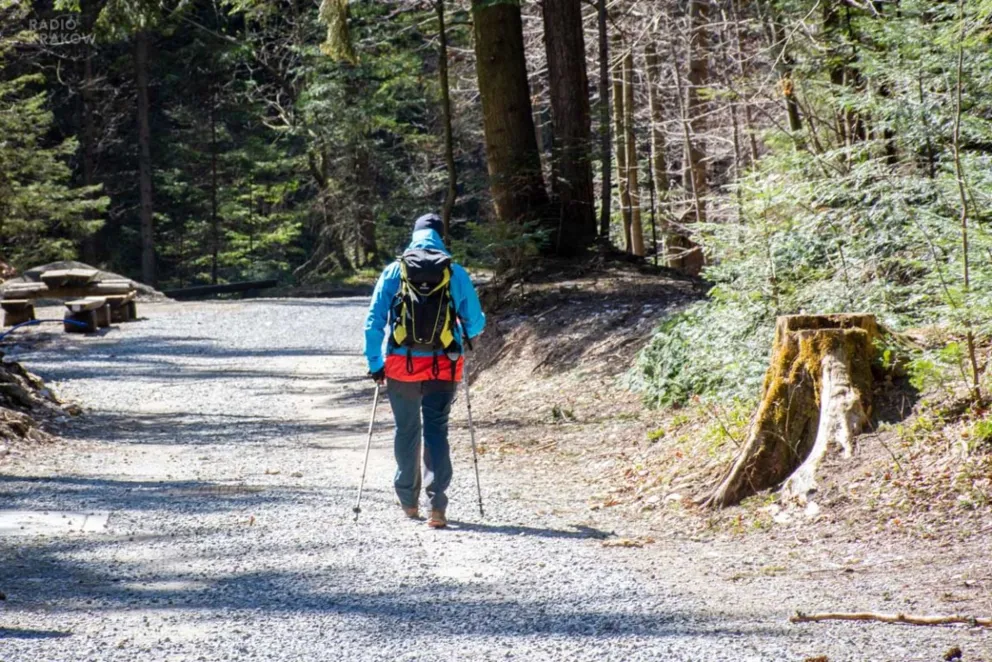 Służby obawiają się pierwszego weekendu z otwartymi lasami i parkami