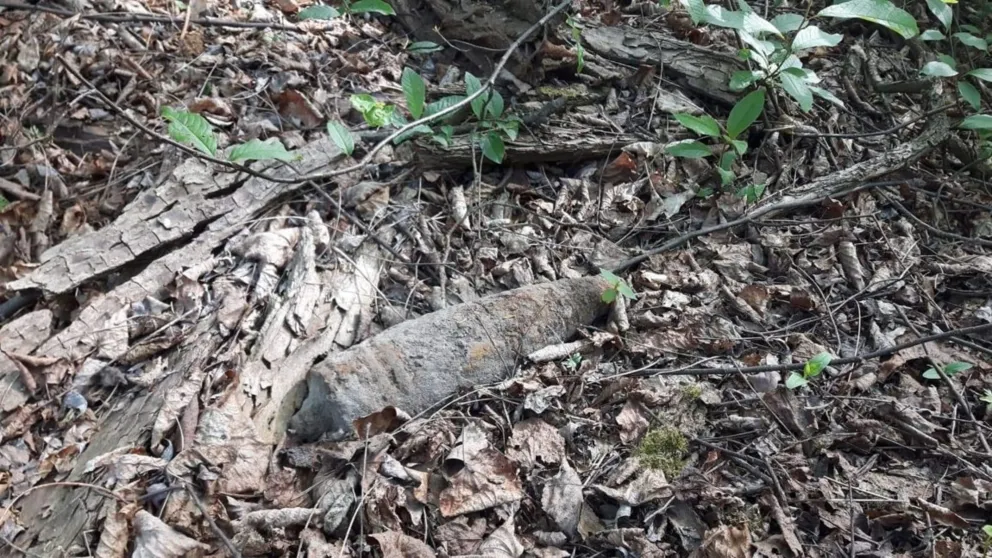 Mieszkaniec Libiąża znalazł pocisk artyleryjski w lesie
