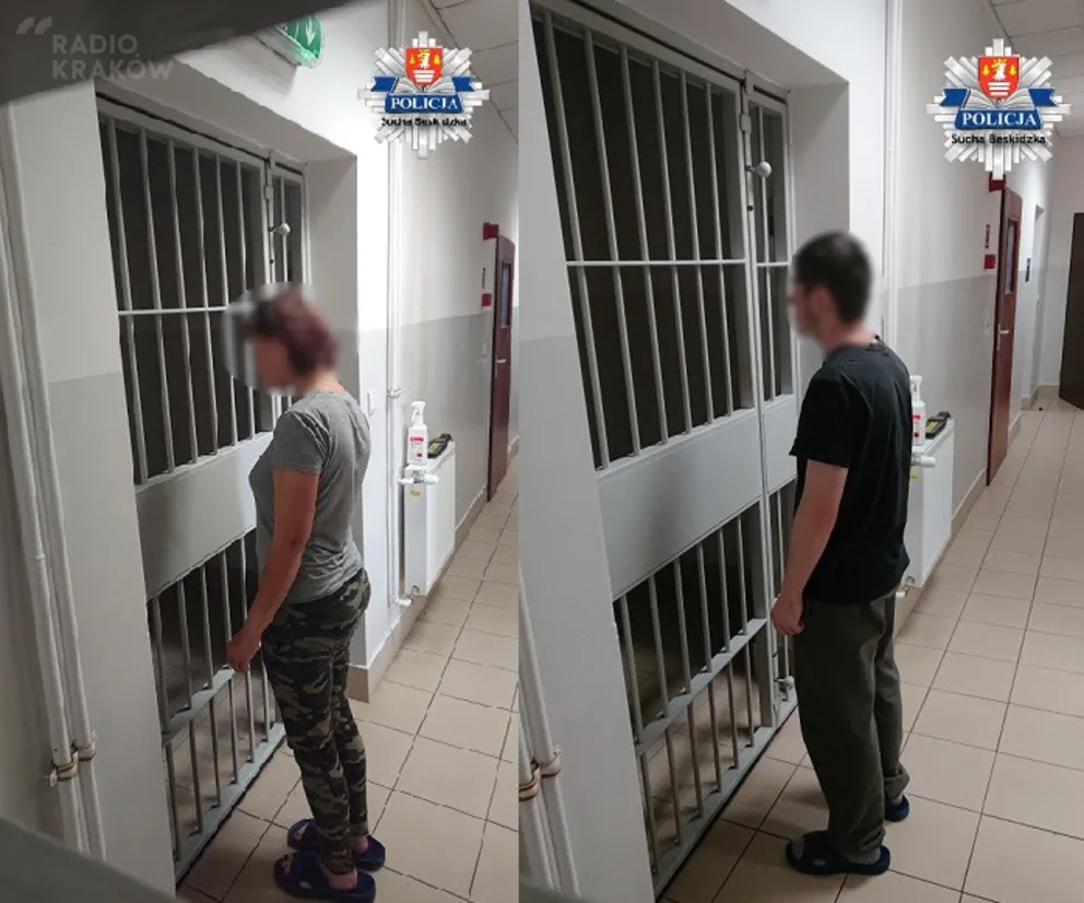 Sucha Beskidzka: bili ofiarę kijem po głowie, a potem zaciągnęli do lasu, by nikt jej nie znalazł