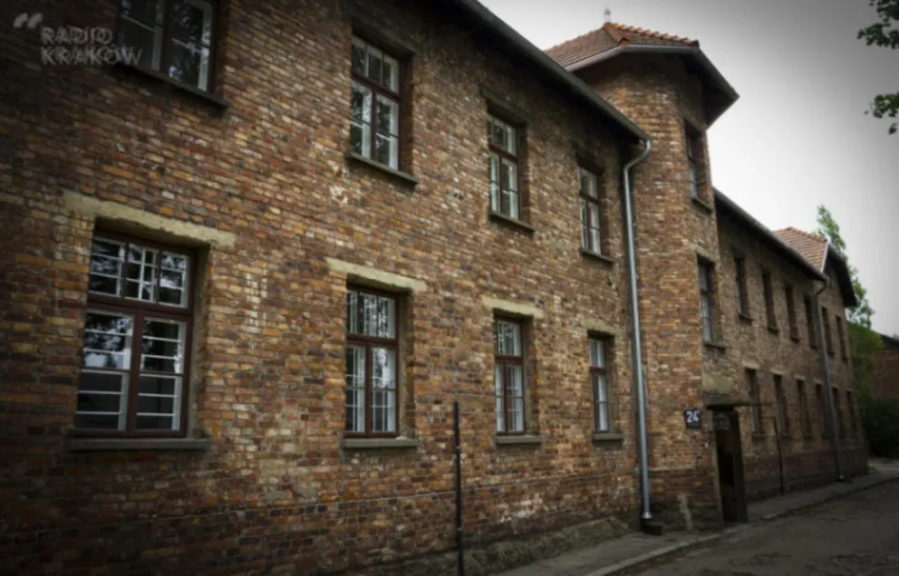 Dyrektor Muzeum Auschwitz-Birkenau apeluje o uniewinnienie 13-latka z Nigerii