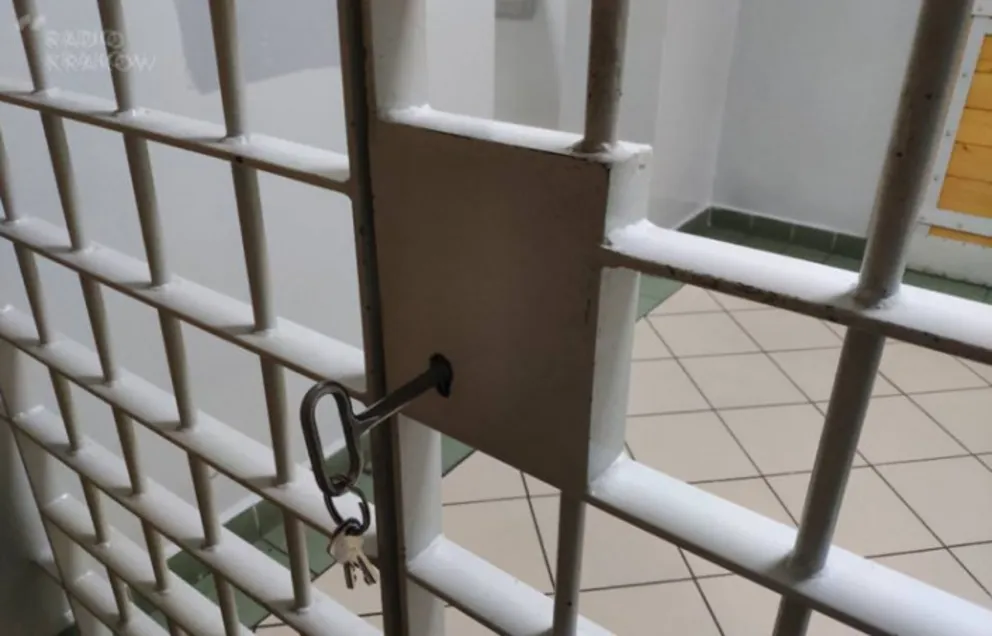 Sprawcy napadu we Włosienicy w areszcie