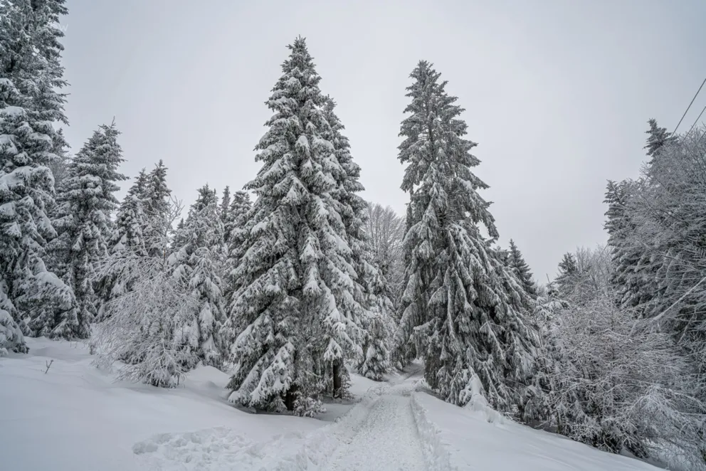 Beskidy pod śniegiem; trudne warunki turystyczne na szlakach