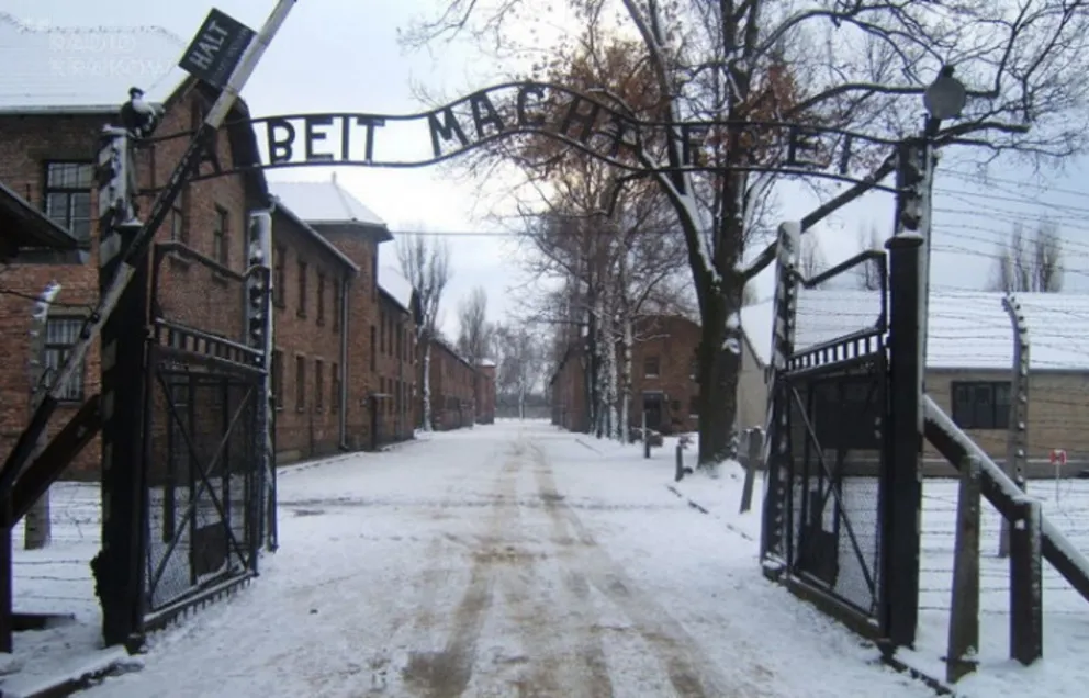 Los dzieci głównym motywem 76. rocznicy wyzwolenia Auschwitz