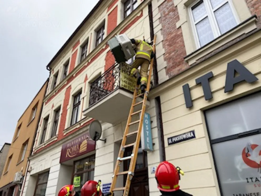 Szop pracz utknął na balkonie jednej z kamienic Oświęcimiu