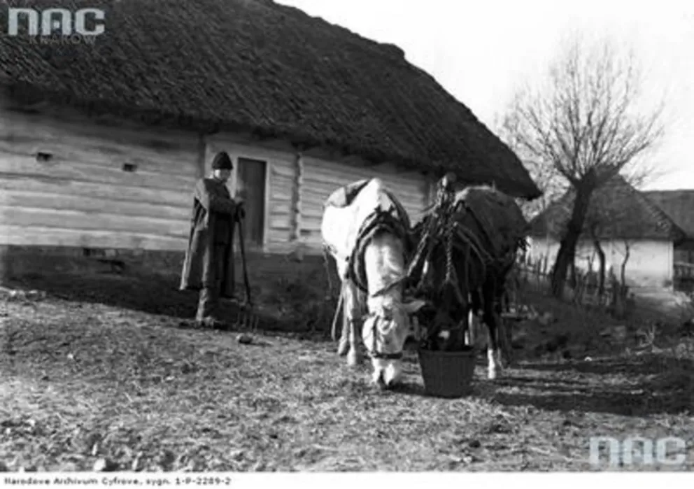 Obrazy z życia Józafata Dumanowskiego