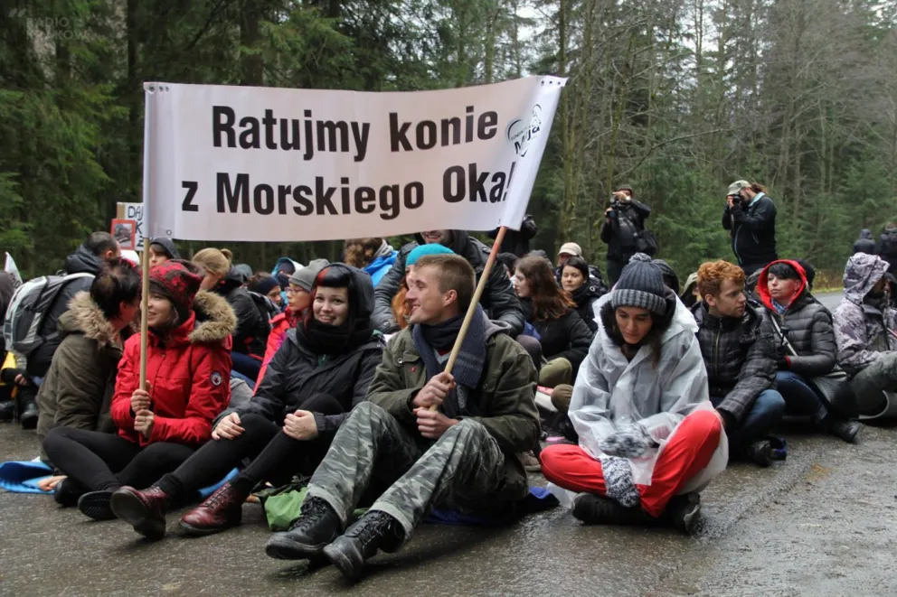 Przepychanki na trasie do Morskiego Oka. Obrońcy praw zwierząt blokowali drogę