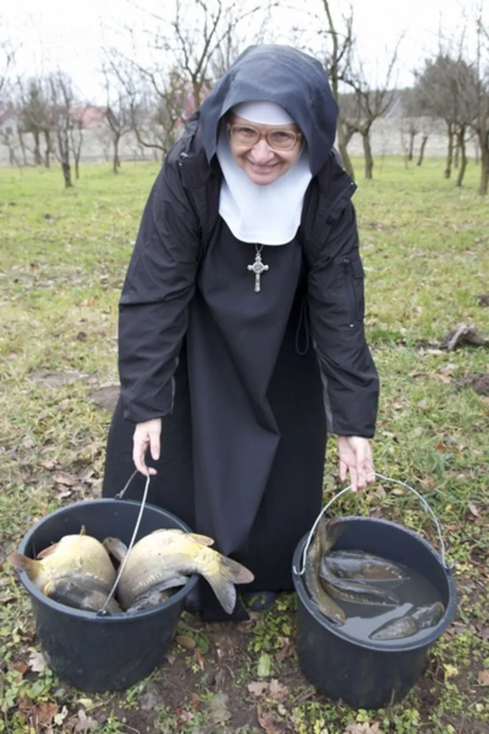 Karpie u sióstr w Staniątkach